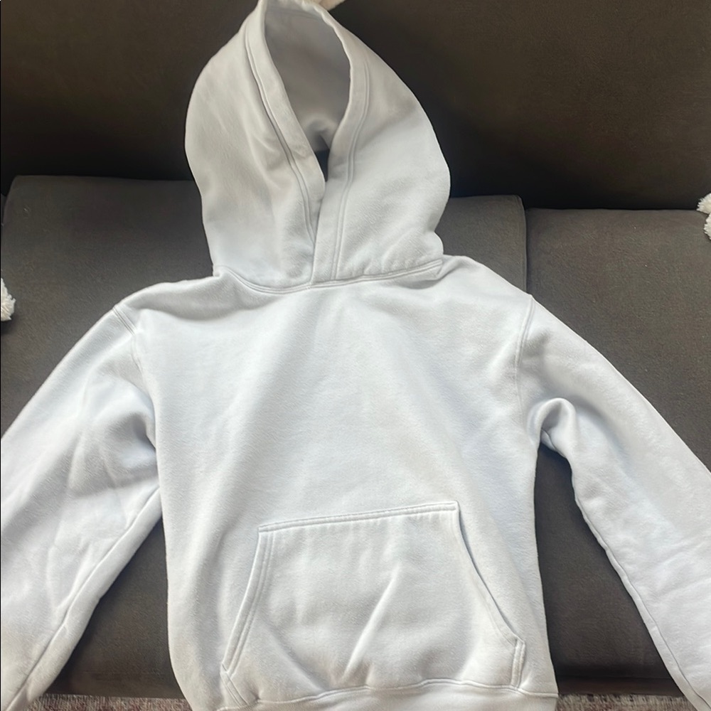 TNA Aritzia Classic Light Blue Hoodie